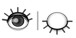 image:SlicerVisibleInvisible-Large.png