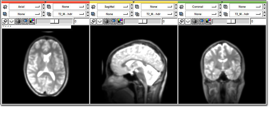 Image:PythonAfter.png