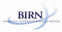 Logo_BIRN.jpg
