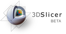 Image:Slicer3LogoHorizontalBeta.png