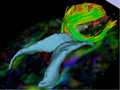 Thumbnail for version as of 23:00, 6 April 2011