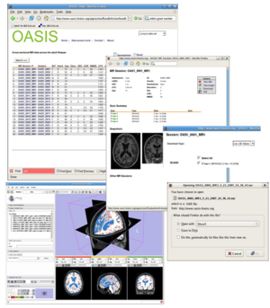 Illustration of download process