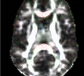 Thumbnail for version as of 13:48, 4 May 2011