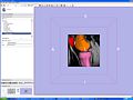 Thumbnail for version as of 17:05, 28 April 2009