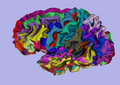 Thumbnail for version as of 21:32, 14 August 2009
