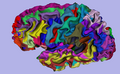 Thumbnail for version as of 16:28, 25 May 2010