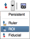 Initialize ROI placement