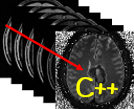 File:T1 Mapping CPP Logo Resized.png