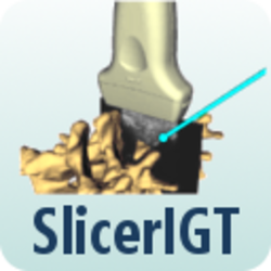 SlicerIGTLogo250x250.png