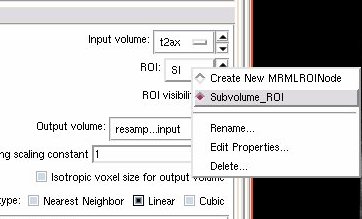 File:ExtractSubvolumeROI ROI name.jpg
