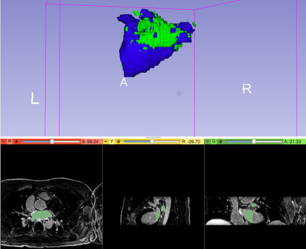 File:CMRToolkit Tutorial Image.png