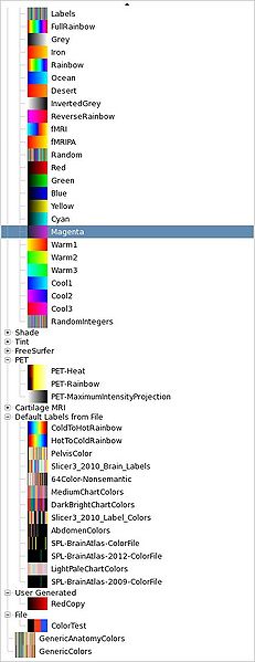 File:Slicer43-Colors-Tables.jpeg