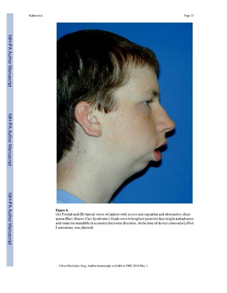 File:Lindig-HistochemCellBiol2009-fig6.pdf