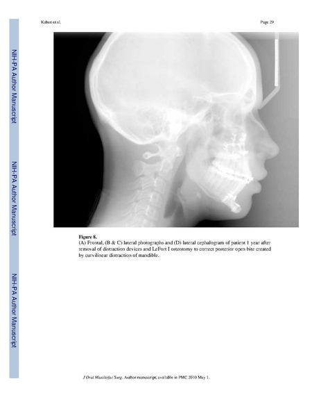 File:Lindig-HistochemCellBiol2009-fig6.pdf