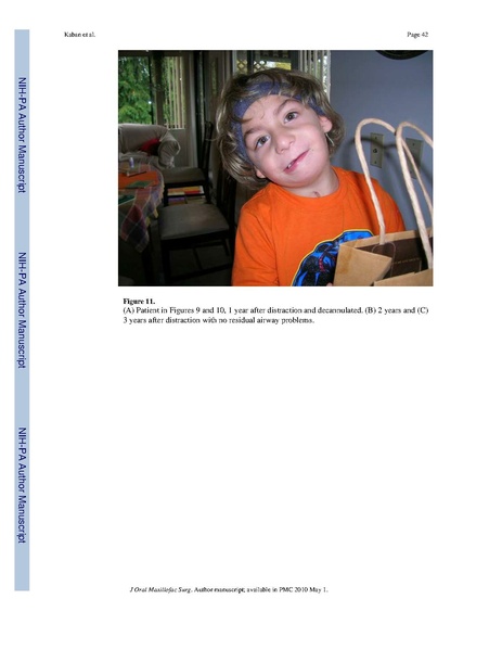 File:Lindig-HistochemCellBiol2009-fig6.pdf