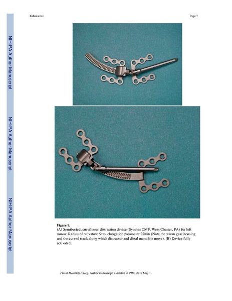 File:Lindig-HistochemCellBiol2009-fig6.pdf