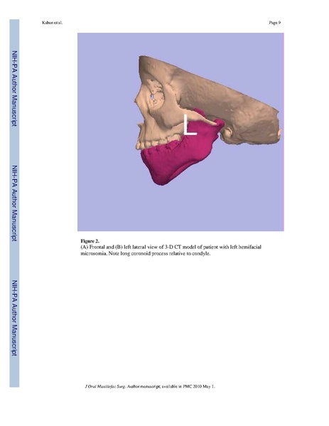 File:Lindig-HistochemCellBiol2009-fig6.pdf