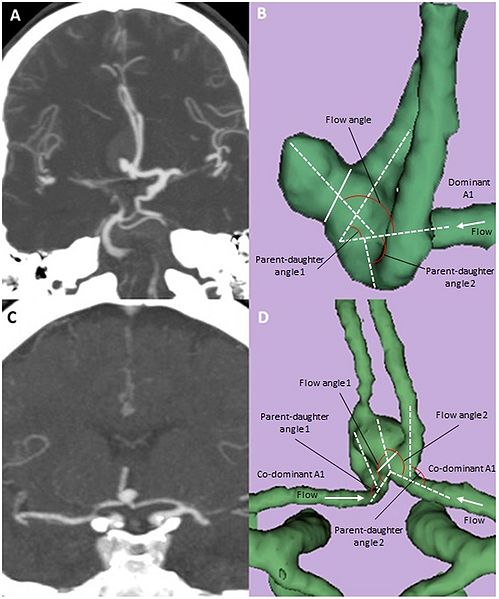 File:Lin-PLoSOne2013-fig2.jpg