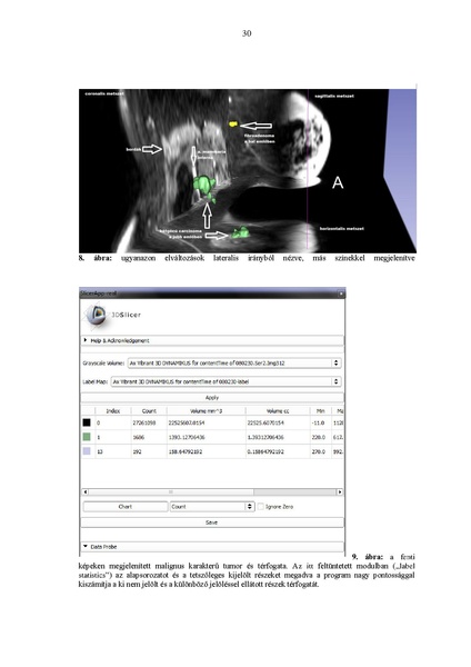 File:Meszaros-Thesis2015.pdf