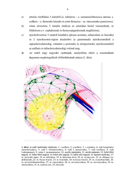 File:Meszaros-Thesis2015.pdf