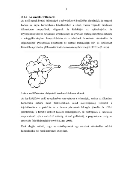 File:Meszaros-Thesis2015.pdf