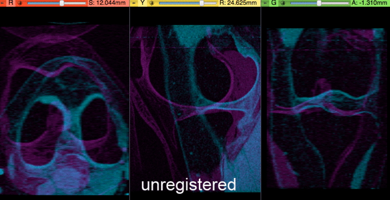 File:RegLib C21 registered.gif