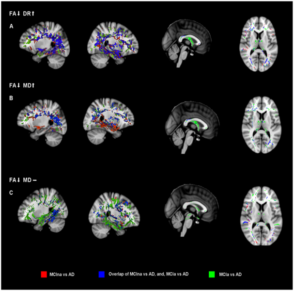 File:ODwyer-PLoSOne2011-fig6.png