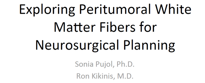 Neurosurgical Planning tutorial.png