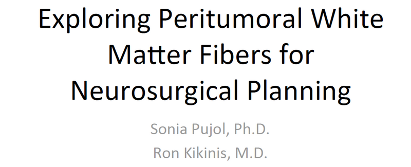 File:Neurosurgical Planning tutorial.png