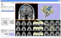 Thumbnail for version as of 17:53, 20 May 2008