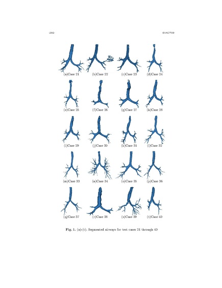 File:Mendoza pulmonary.pdf