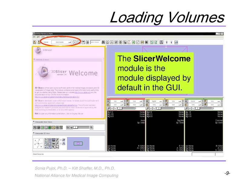 File:3DVisualizationLiverSegments SoniaPujol RSNA2009.pdf