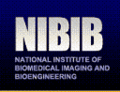 Logo-nibibnew.gif
