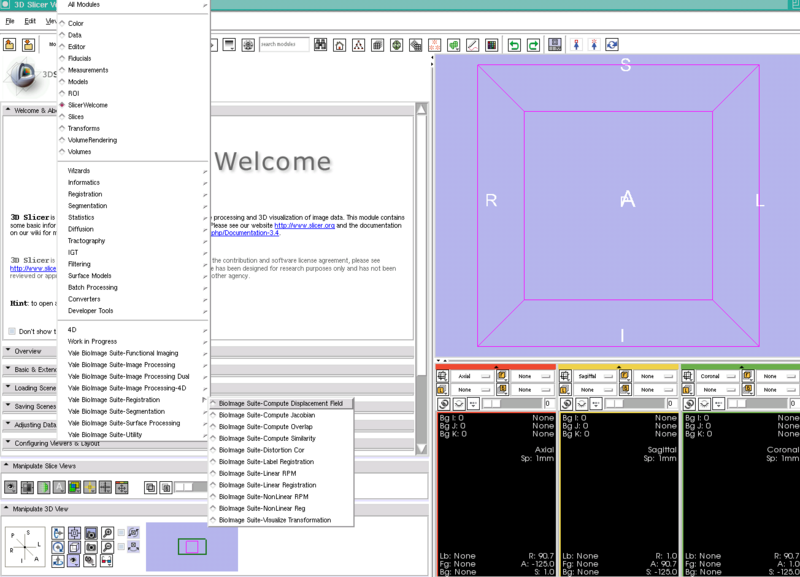 File:Bioimagesuite slicer2.png