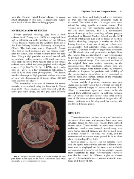 File:Li-ClinAnat2006.pdf