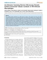 Bennett-PLoSPathogens2010.pdf