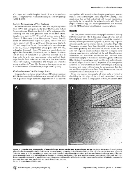 File:Bennett-PLoSPathogens2010.pdf