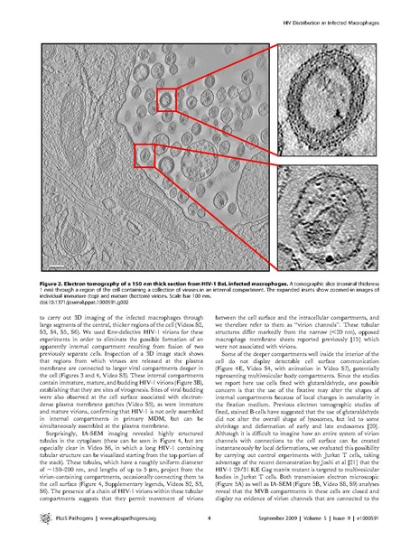 File:Bennett-PLoSPathogens2010.pdf