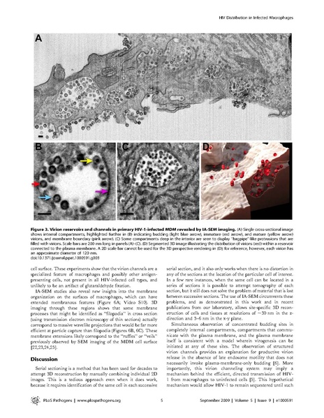 File:Bennett-PLoSPathogens2010.pdf