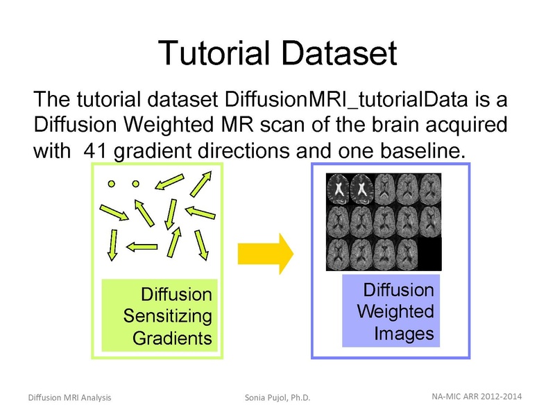 File:DiffusionMRIanalysis Tutorial SoniaPujol 2013.pdf