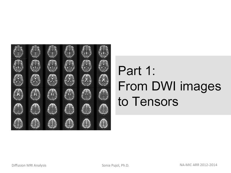 File:DiffusionMRIanalysis Tutorial SoniaPujol 2013.pdf