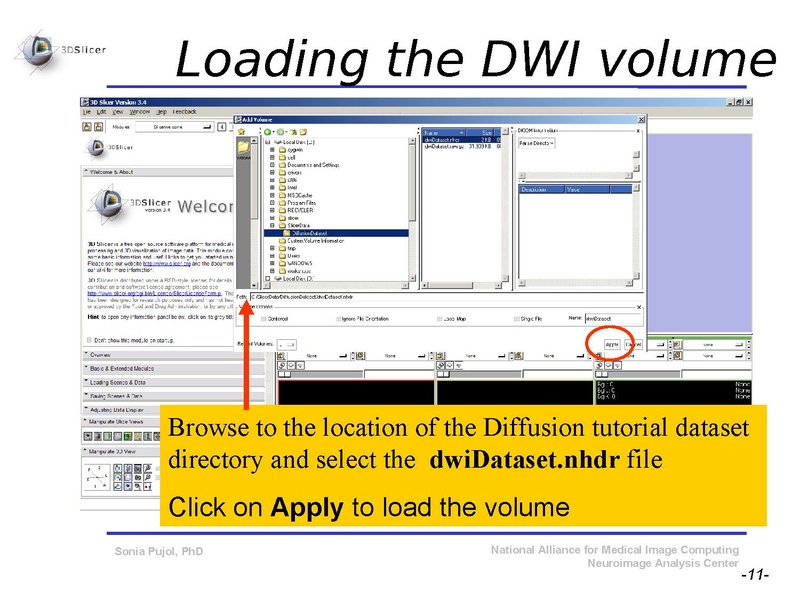 File:DiffusionMRITutorial SFN2009 SPujol.pdf