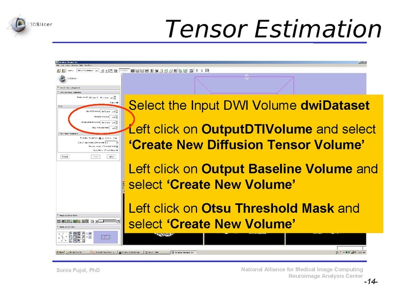 File:DiffusionMRITutorial SFN2009 SPujol.pdf