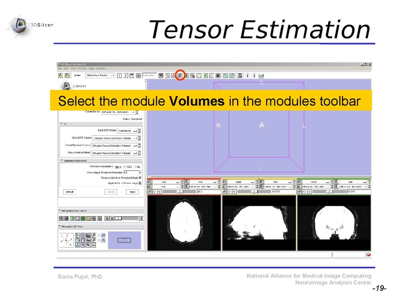 File:DiffusionMRITutorial SFN2009 SPujol.pdf