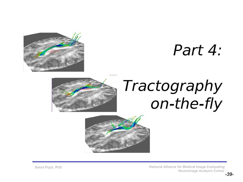 File:DiffusionMRITutorial SFN2009 SPujol.pdf