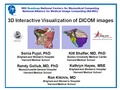 3DVisualization SoniaPujol RSNA2009 11-30-2009.pdf