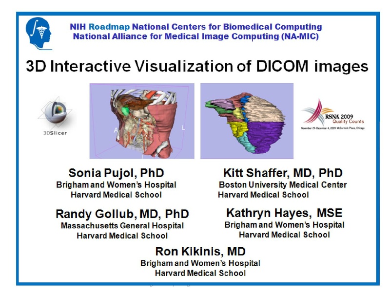 File:3DVisualization SoniaPujol RSNA2009 11-30-2009.pdf