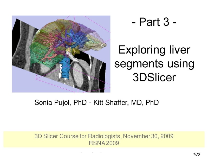 File:3DVisualization SoniaPujol RSNA2009 11-30-2009.pdf