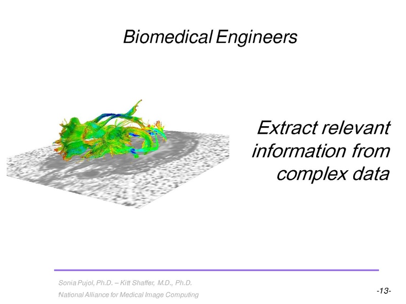 File:3DVisualization SoniaPujol RSNA2009 11-30-2009.pdf