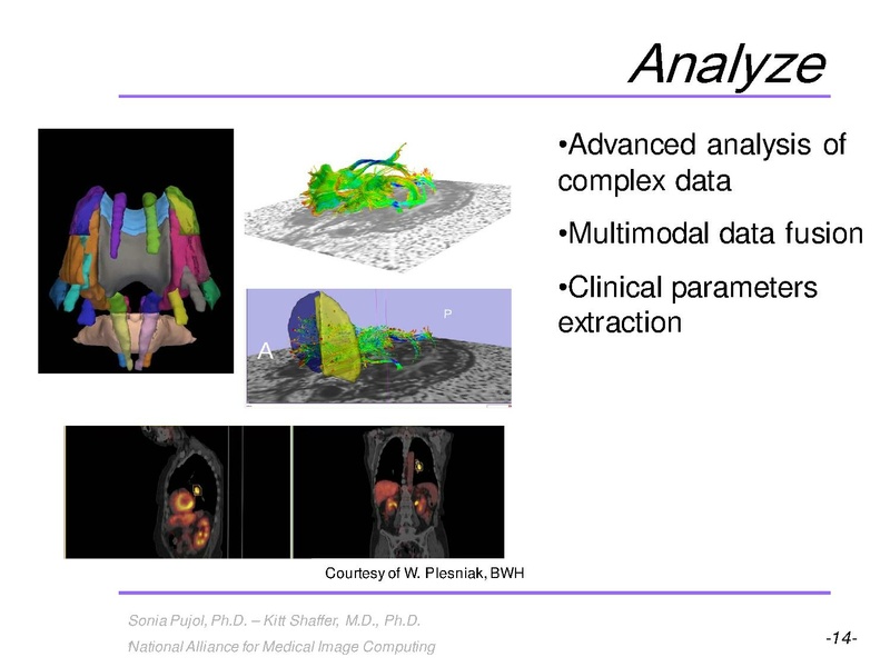 File:3DVisualization SoniaPujol RSNA2009 11-30-2009.pdf